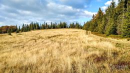 IMG_20170930_163839_HDR