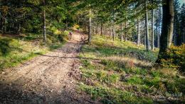 IMG_20170930_165233_HDR