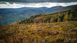 IMG_20171007_152423_HDR