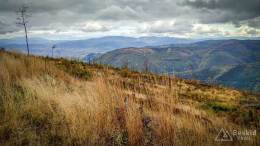 IMG_20171007_152427_HDR