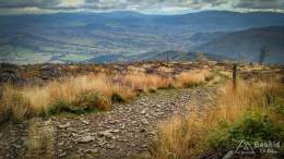 IMG_20171007_153247_HDR