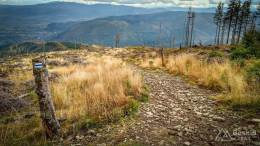 IMG_20171007_153459_HDR