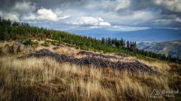 IMG_20171007_154747_HDR