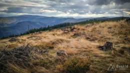 IMG_20171007_154800_HDR