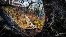 IMG_20171007_161347_HDR