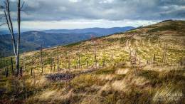 IMG_20171007_161353_HDR