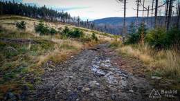 IMG_20171007_162711_HDR