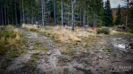 IMG_20171007_162716_HDR