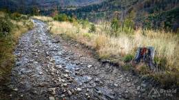 IMG_20171007_162859_HDR