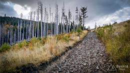 IMG_20171007_162906_HDR