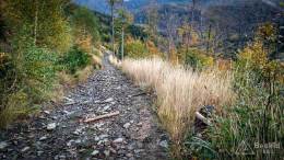 IMG_20171007_163152_HDR