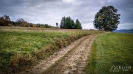 IMG_20171014_141548_HDR