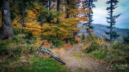 IMG_20171014_151056_HDR