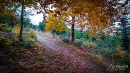 IMG_20171014_154229_HDR