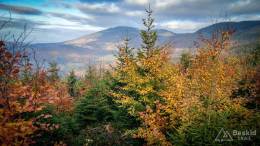 IMG_20171014_164227_HDR