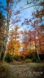IMG_20171014_164405_HDR