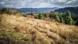IMG_20171015_105134_HDR