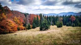 IMG_20171015_120408_HDR