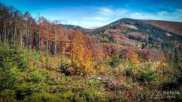 IMG_20171015_125315_HDR