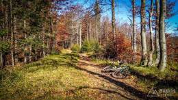 IMG_20171015_125358_HDR