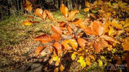 IMG_20171015_125451_HDR
