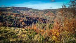 IMG_20171015_152842_HDR