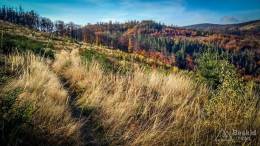 IMG_20171015_152916_HDR