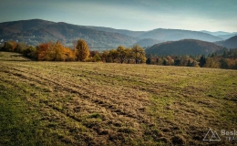 IMG_20171017_095458_HDR