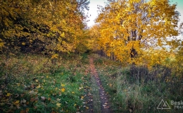 IMG_20171017_101033_HDR
