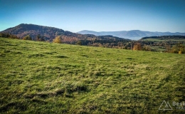 IMG_20171017_101243_HDR