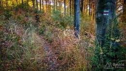 IMG_20171017_102651_HDR