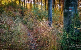 IMG_20171017_102651_HDR