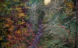IMG_20171017_102655_HDR