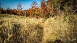 IMG_20171017_103233_HDR