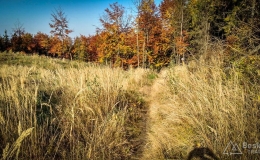 IMG_20171017_103233_HDR