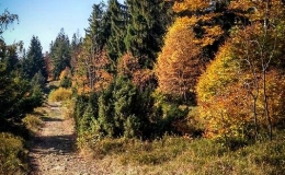 IMG_20171017_112438_HDR