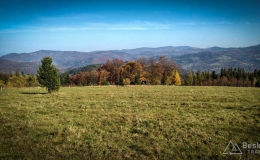 IMG_20171017_115650_HDR