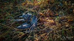 IMG_20171017_115704_HDR