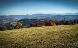 IMG_20171017_115811_HDR