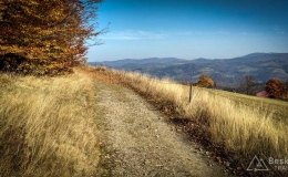 IMG_20171017_115920_HDR