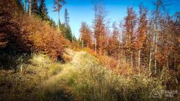 IMG_20171017_120620_HDR