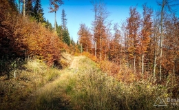 IMG_20171017_120620_HDR