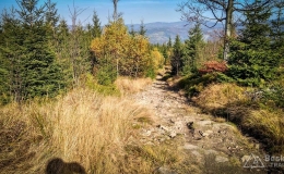 IMG_20171017_124745_HDR