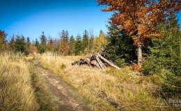 IMG_20171017_130337_HDR