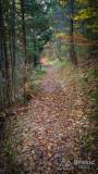 IMG_20171017_133652