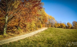IMG_20171017_141725_HDR