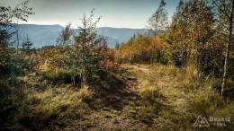 IMG_20171017_143725_HDR