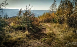 IMG_20171017_143725_HDR