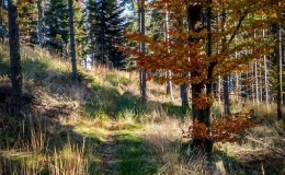 IMG_20171017_144049_HDR