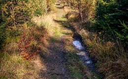 IMG_20171017_144900_HDR